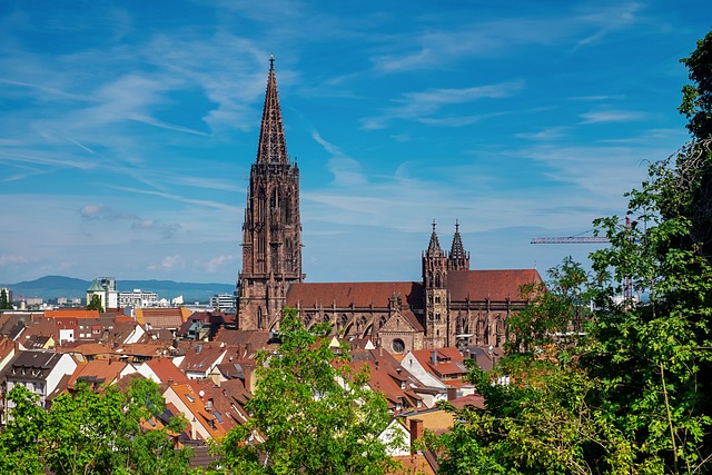 plattenladen freiburg